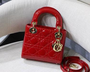 DIOR Handbags 405